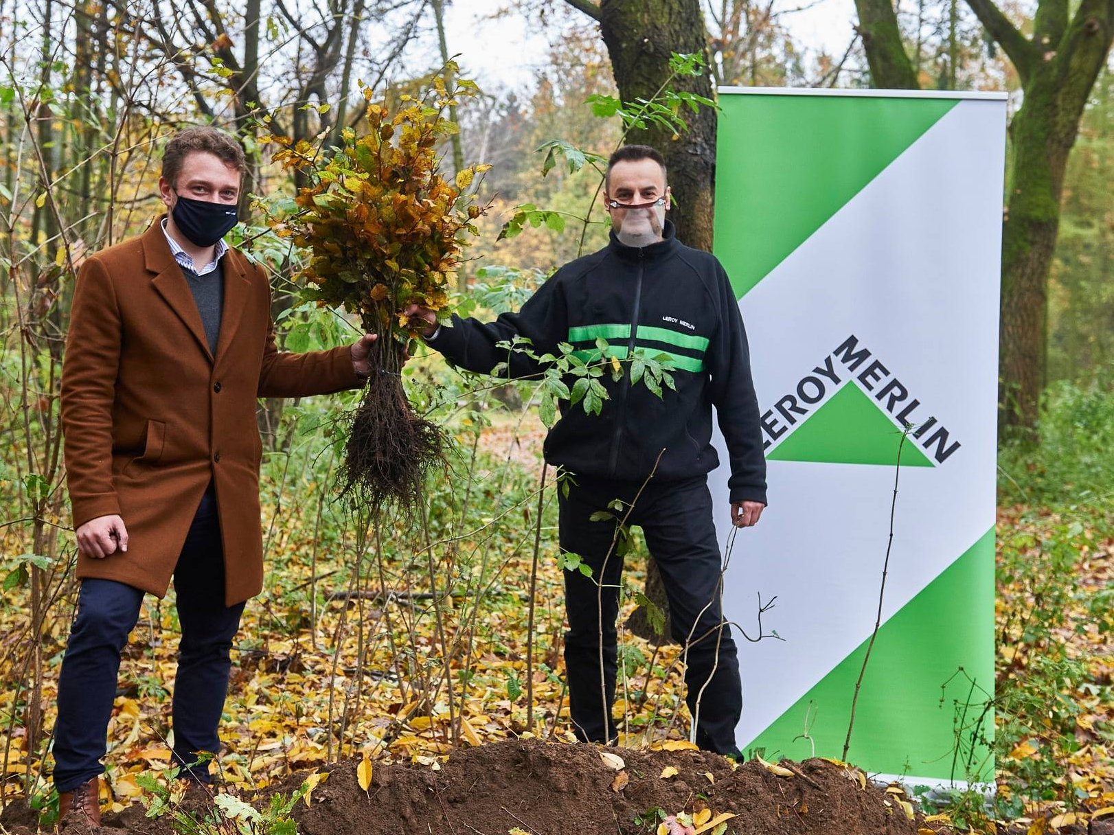 Dzięki Leroy Merlin Polska swój dom w Lesie Łagiewnickim znalazło 9 tysięcy sadzonek dębów i buków 